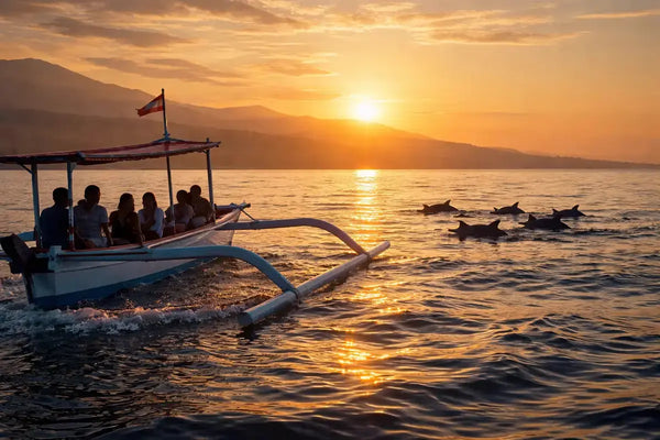 Delfiner i havet utenfor Lovina i Nord-Bali ved soloppgang – delfinsafari fra Lovina Beach"