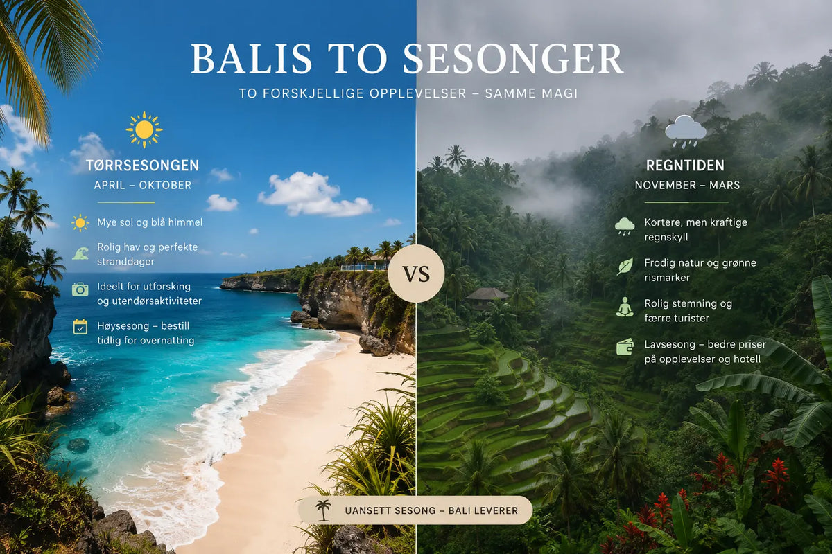 Tørrsesong vs regnsesong på Bali — blå himmel og sol over risterrassene i Ubud