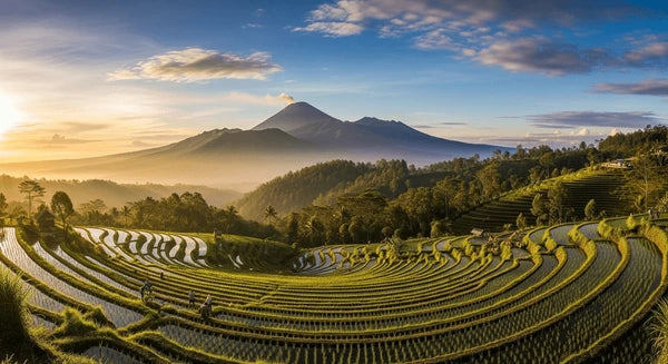 Beste tid å reise til Bali – palmestrender og blå himmel i tørketida mai til oktober