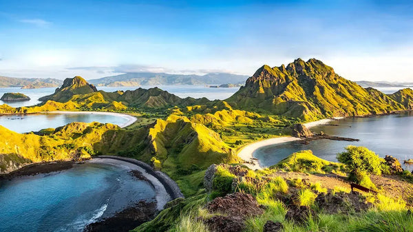 Padar Island utsikt i Komodo nasjonalpark – tre bukter med turkist hav fra utsiktsplatformen, Indonesia