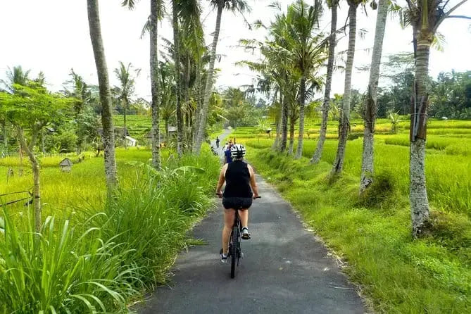 Sykkeltur i rismarkene ved Ubud
