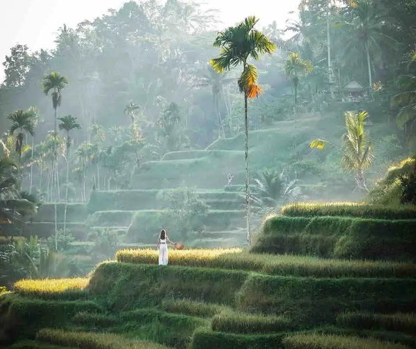 Bali og øyhopping