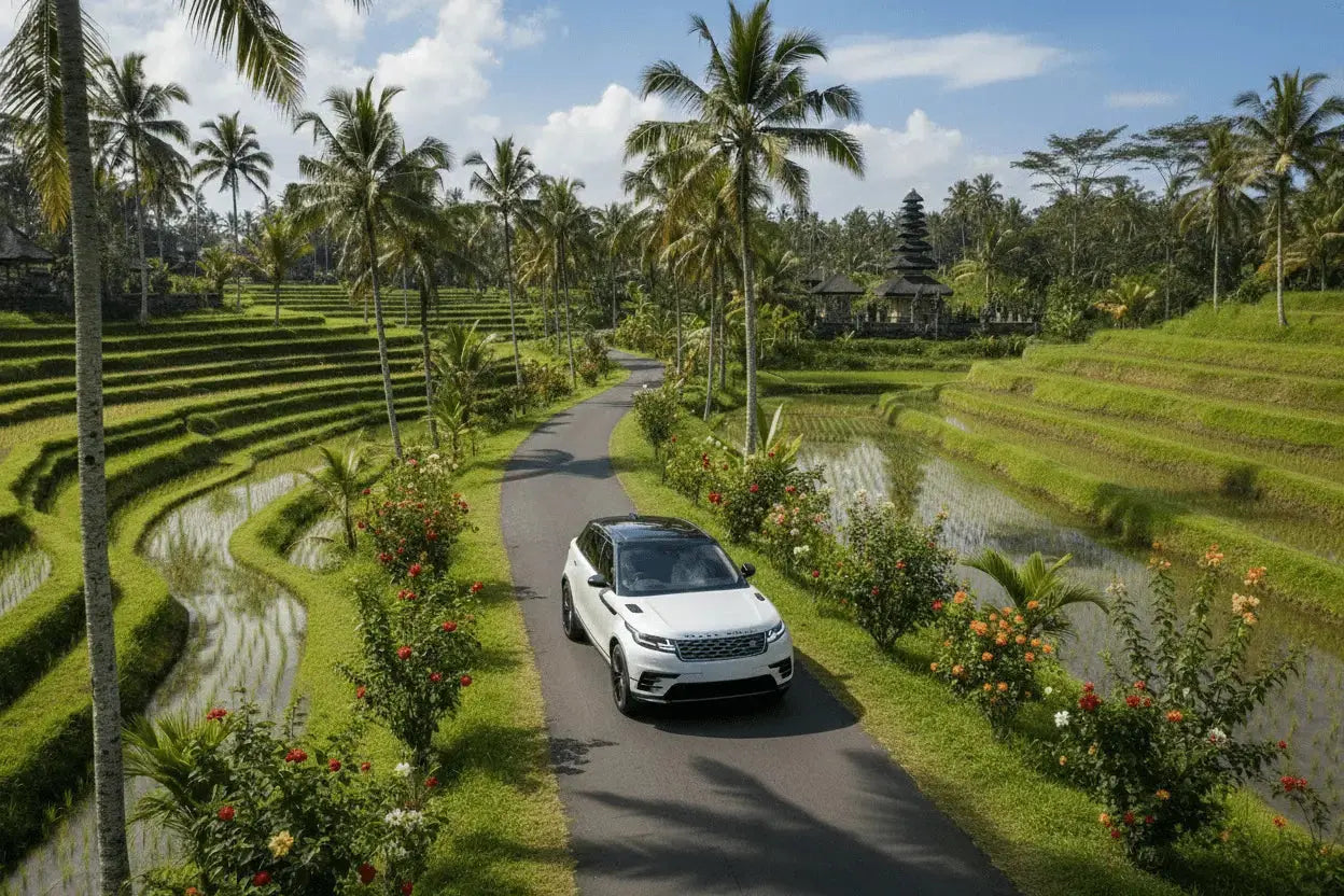 Bil dagstur kan være til rismarkene