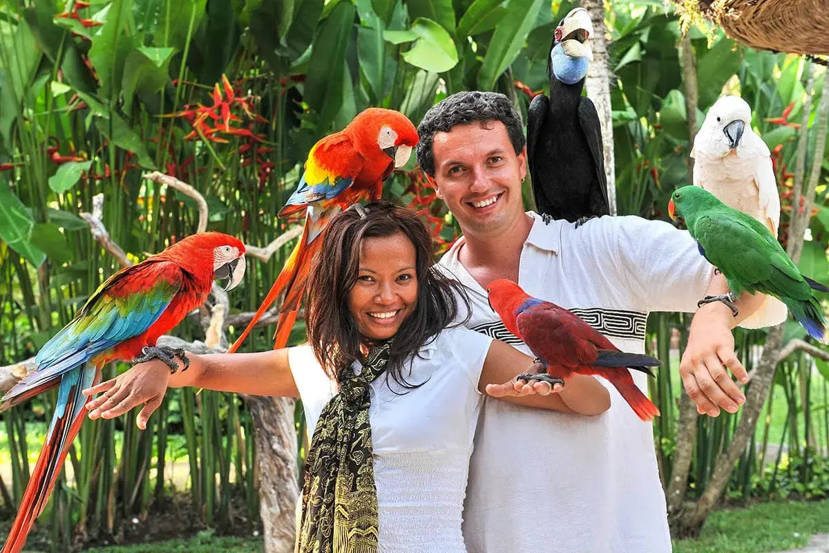 Bali Zoo