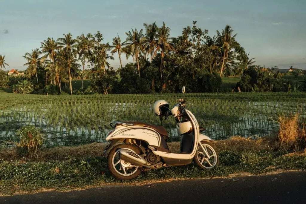 Scooter ved rismarkene