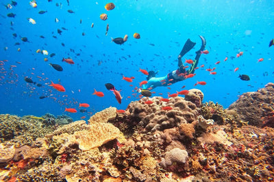 Nusa Lembongan